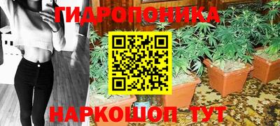 ГАЛЛЮЦИНОГЕННЫЕ ГРИБЫ Тверь