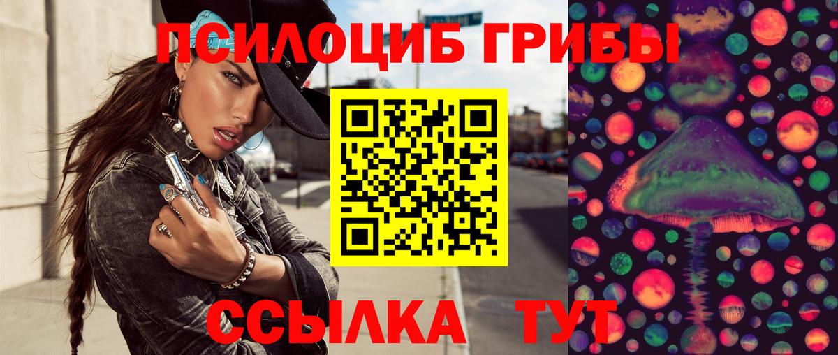наркотики  Псилоцибиновые грибы Psilocybine cubensis  Мурманск  Вход с VPN  Псилоцибиновые грибы Psilocybe 